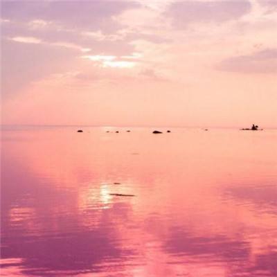 青海湖生物多样性提升